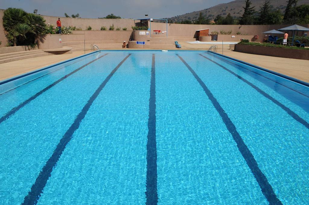 Ein Zivan Village Resort Номер фото