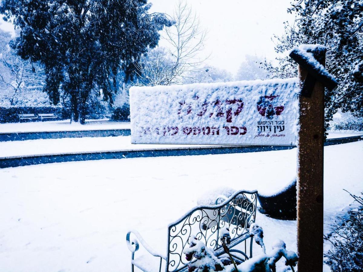 Ein Zivan Village Resort Экстерьер фото